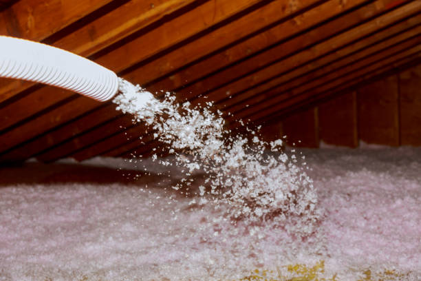 Professional Insulation Contractor in Platte City, MO