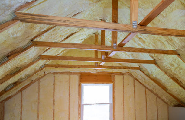 Best Insulation Removal  in Platte City, MO