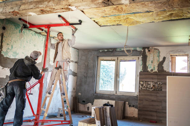 Best Best Insulation Companies  in Platte City, MO