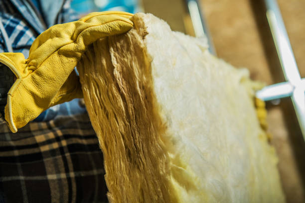 Best Local Insulation Services  in Platte City, MO