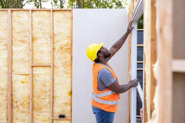 Best Garage Insulation Installation  in Platte City, MO
