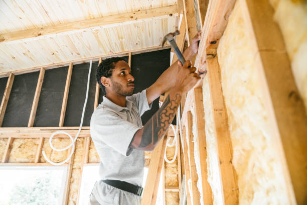 Best Spray Foam Insulation  in Platte City, MO