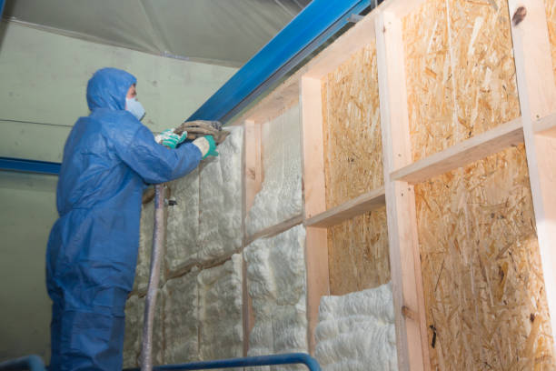 Best Professional Insulation Contractor  in Platte City, MO