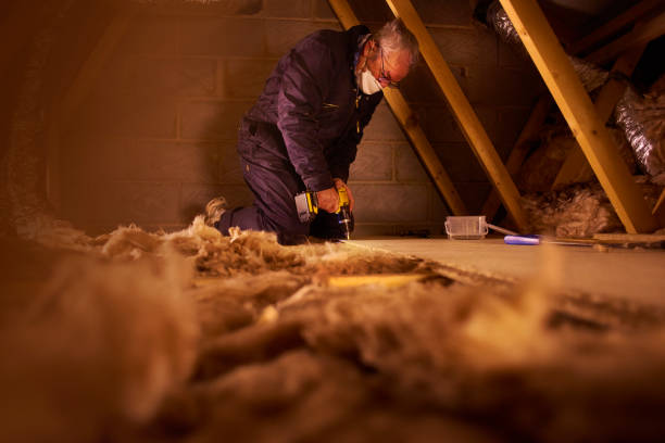 Best Cellulose Insulation  in Platte City, MO